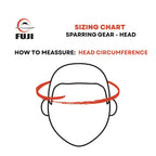 Fuji Sparring Headgear