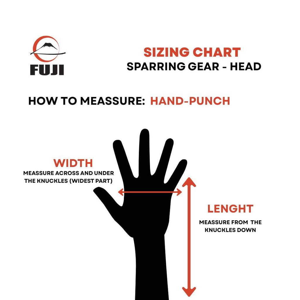 Fuji Sparring Punch